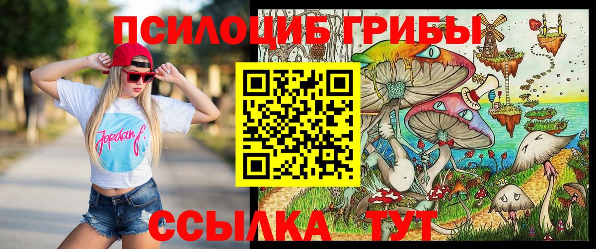 Галлюциногенные грибы Cubensis Печора